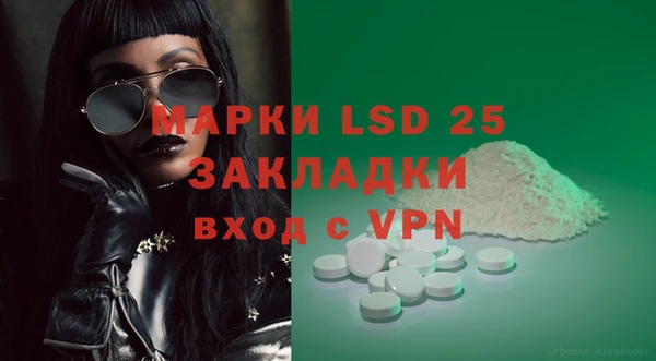 apvp Алексин