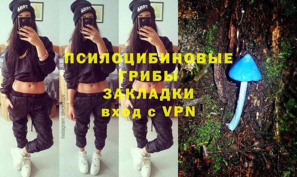 соль курить ск Алзамай