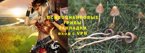 соль курить ск Алзамай