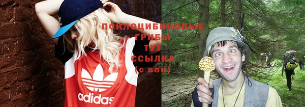 соль курить ск Алзамай