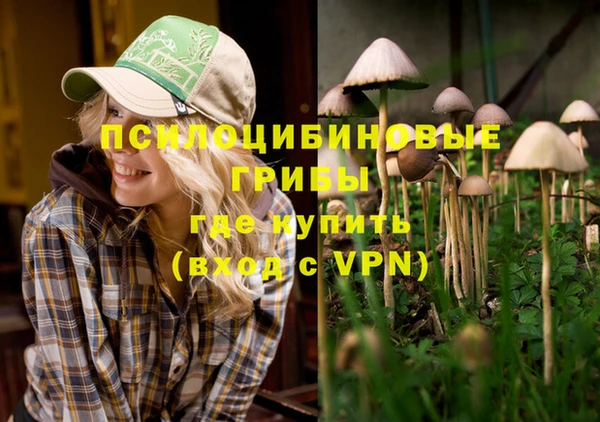apvp Алексин