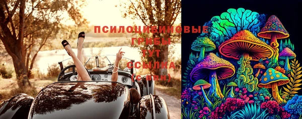 apvp Алексин