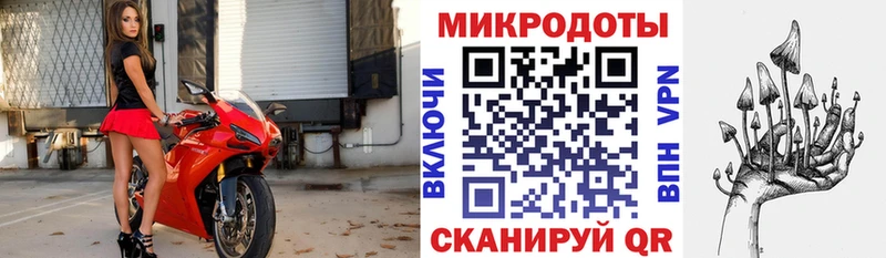 Галлюциногенные грибы Cubensis  Староминская 